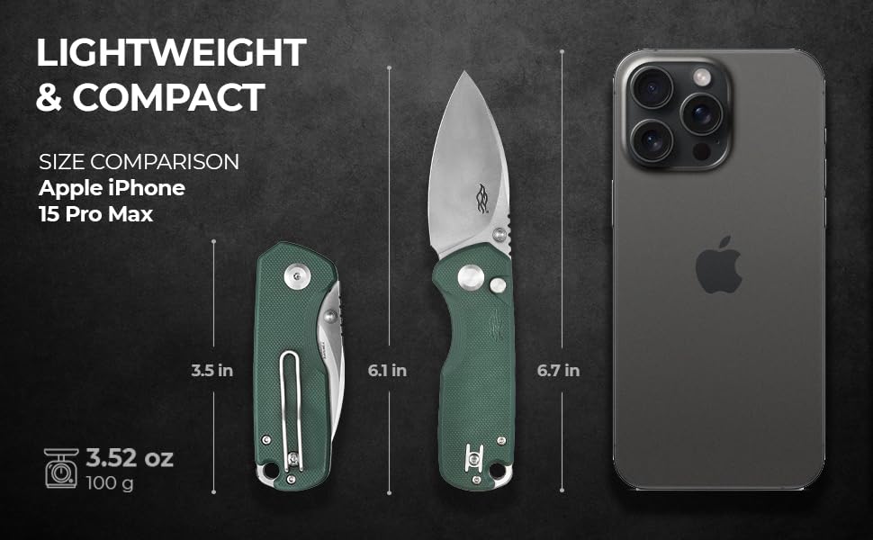 Firebird GANZO FH925-GB Small Pocket Folding Knife Button Lock D2, view 5