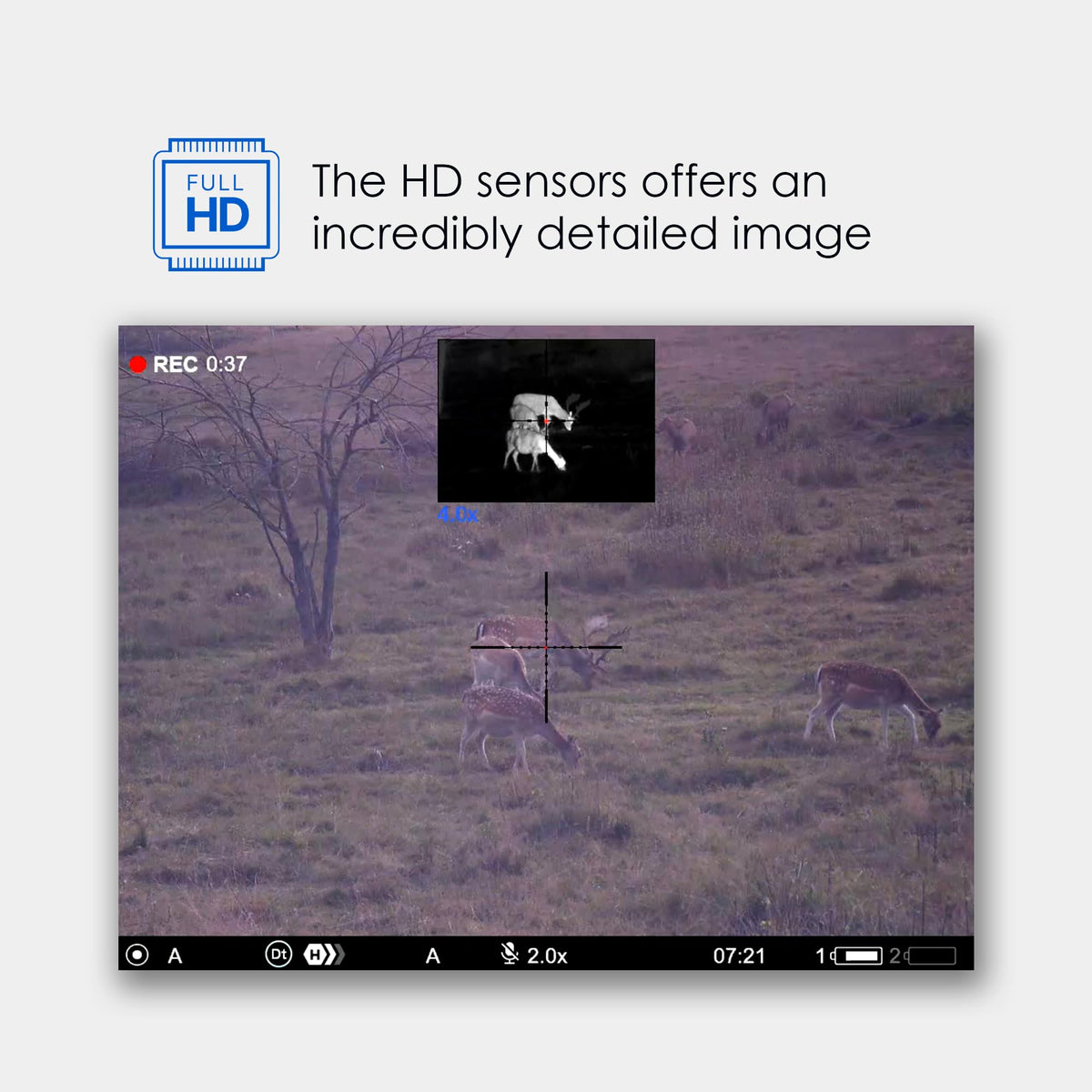 Pulsar Multispectral Thermion Duo DXP55 Thermal Riflescope