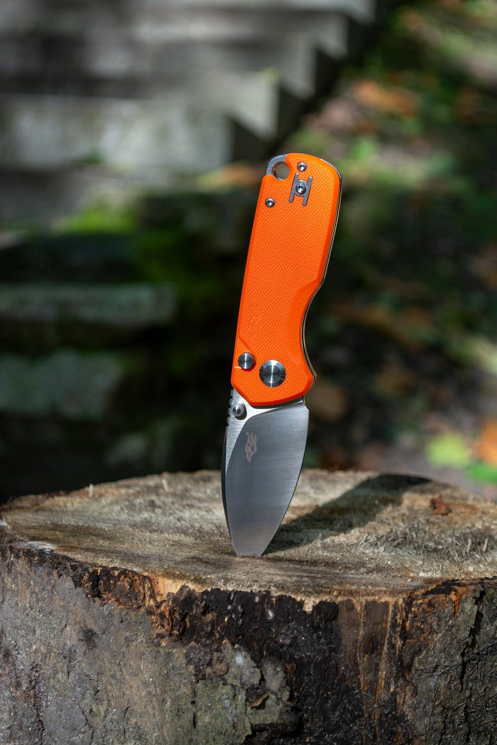 Firebird GANZO FH925-GB Small Pocket Folding Knife Button Lock D2, view 8