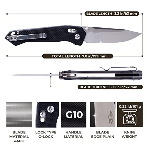 Ganzo Firebird FB7651 - BK 440C Blade G10 Handle Pocket Folding
