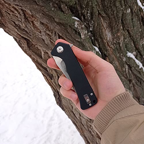 Firebird GANZO FH923-BK Folding Pocket Knife Razor Sharp D2