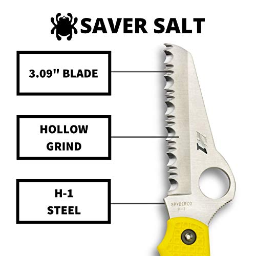 Spyderco Saver Salt Knife with 3.09" H-1 Corrosion, view 3