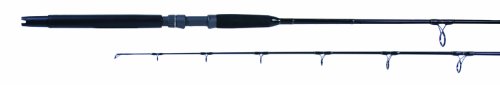 Billfisher 6.5-Foot SW Spin Rod with Slick Butt