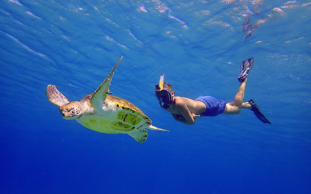 OCEAN REEF - Aria QR + Quick Release Snorkeling Mask, view 5