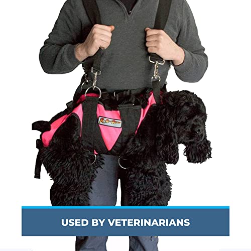 Rock-N-Rescue SAR Dog Harness, view 7