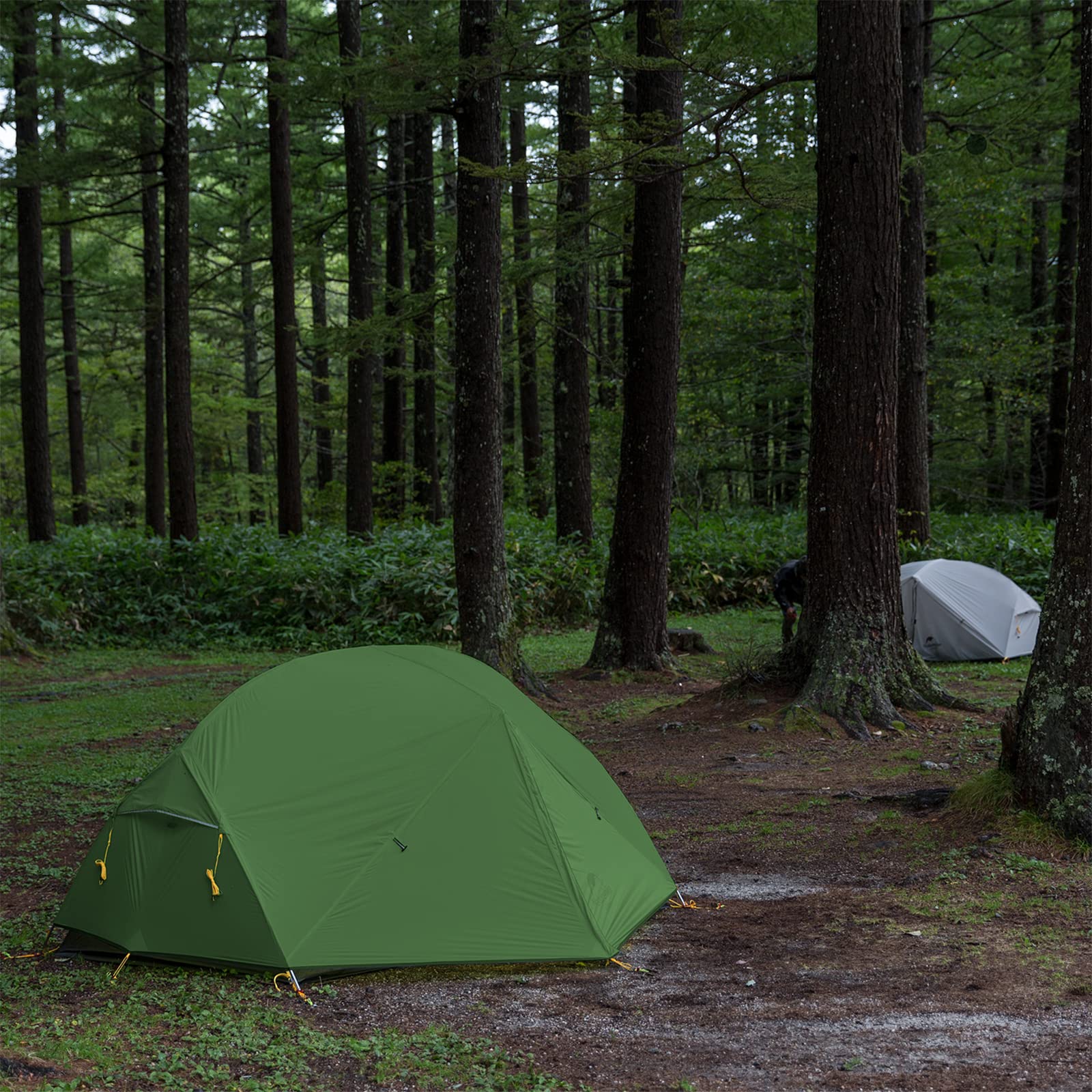 Naturehike Mongar Backpacking Camping Tent 2 Person Lightweight 3 Season Waterpr
