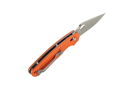 Ganzo G729-ORFolding Pocket Knife 440C Stainless, view 3