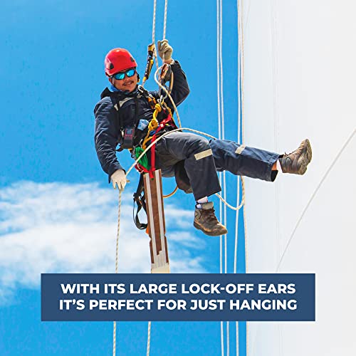 Rock-N-Rescue Steel Rescue 8 with Ears | High-Strength Steel for Controlled Desc