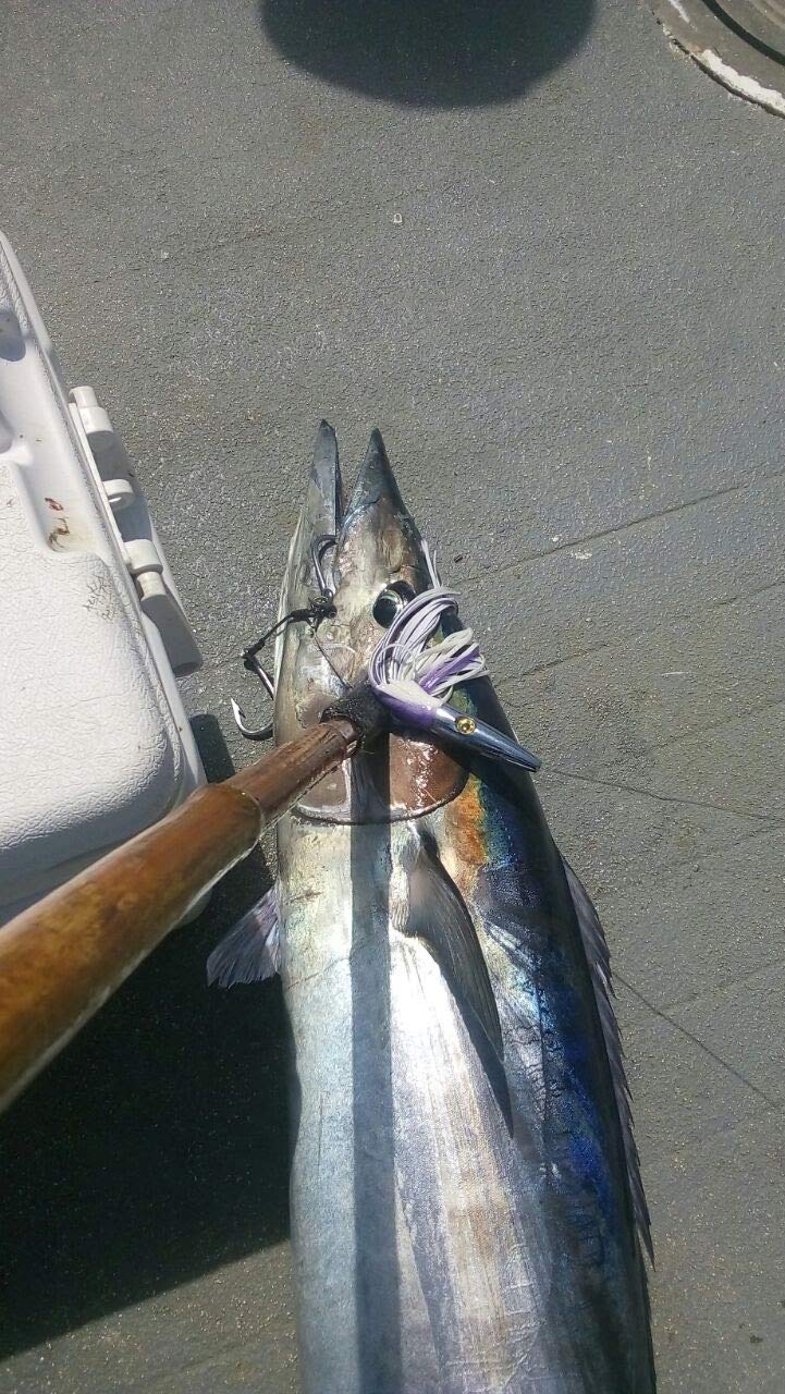 High Speed Wahoo Lures 2 Pack Fully Rigged 6 Ft