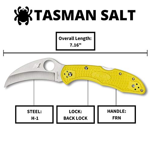 Spyderco Tasman Salt 2 Lightweight Knife with 2.91" H-1, view 5