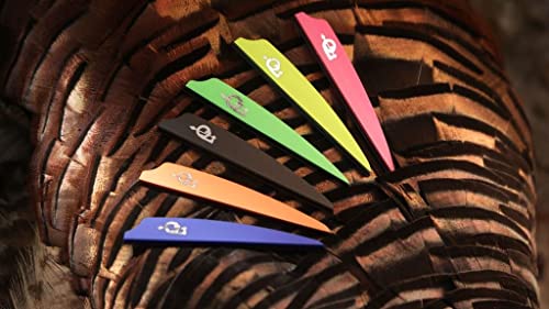 Q2i Fusion X-II SL Vanes Neon Orange 1.75 in. 100 pk.…