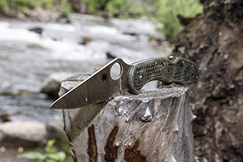 Spyderco Delica 4 Signature Knife with 2.95"