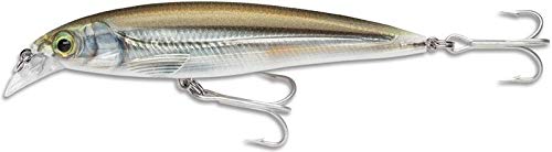 Rapala X-Rap Saltwater 10 Mangrove Minnow