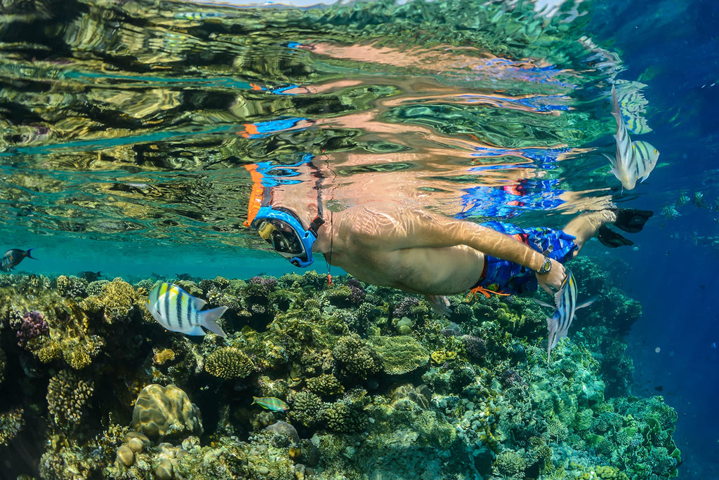 OCEAN REEF - Aria QR + Quick Release Snorkeling Mask, view 6