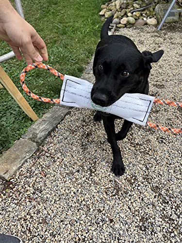 Rock-N-Rescue Hound Hose Firehose Dog Toy