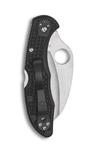 Spyderco Tasman Salt 2 Lightweight Knife with 2.91" H-1, view 2