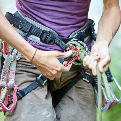 Omega Pacific Raider Aluminum Keylock Straight Gate Carabiner