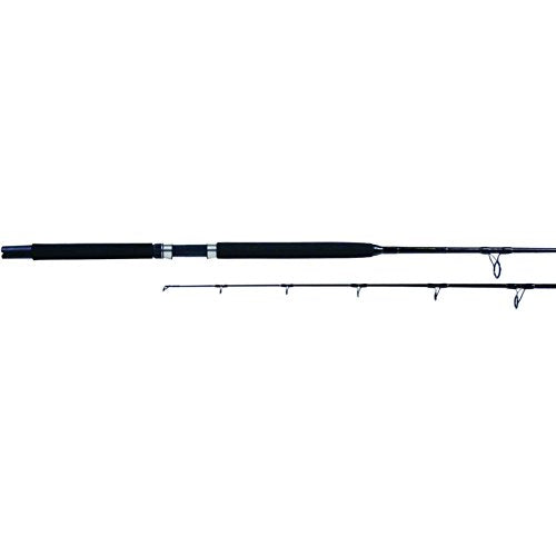 Billfisher BF1220S66 SW Spin Rod