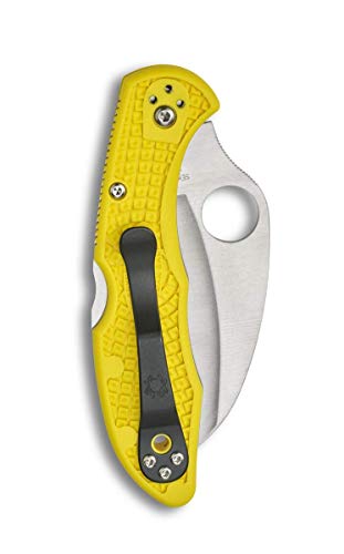 Spyderco Tasman Salt 2 Lightweight Knife with 2.91", view 2