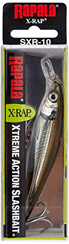Rapala X-Rap Saltwater 10 Mangrove Minnow