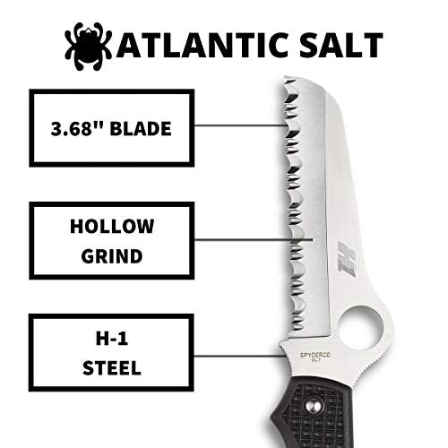Spyderco Atlantic Salt Lightweight Knife with 3.68", view 3