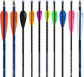 AA & E Elite Plastifletch Vanes Black 3.875 in. 100 pk.