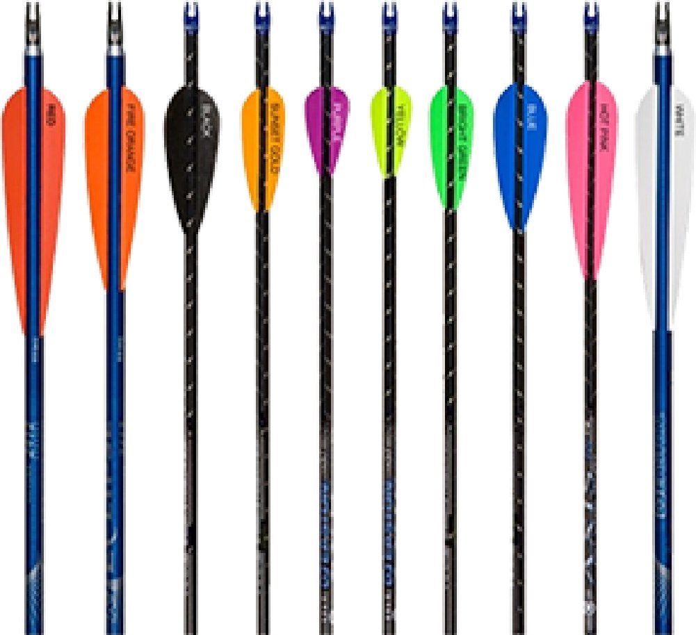 AA & E Elite Plastifletch Vanes Black 3.875 in. 100 pk.