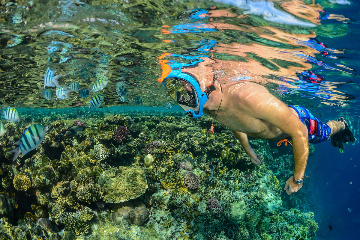 OCEAN REEF - Aria QR + Quick Release Snorkeling Mask