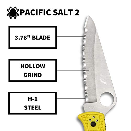 Spyderco Pacific Salt 2 Lightweight Knife with 3.78"