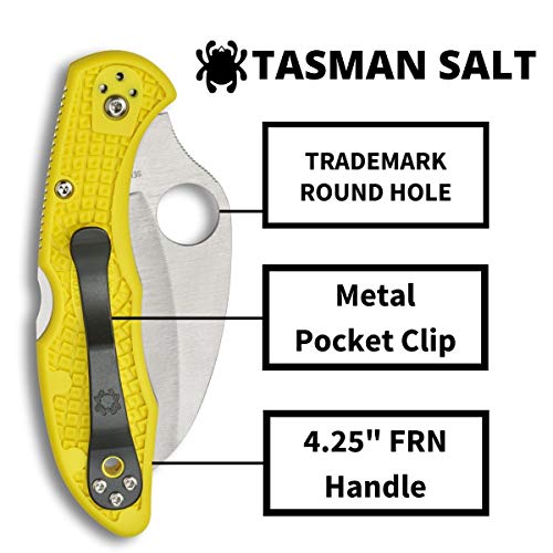 Spyderco Tasman Salt 2 Lightweight Knife with 2.91" H-1, view 4