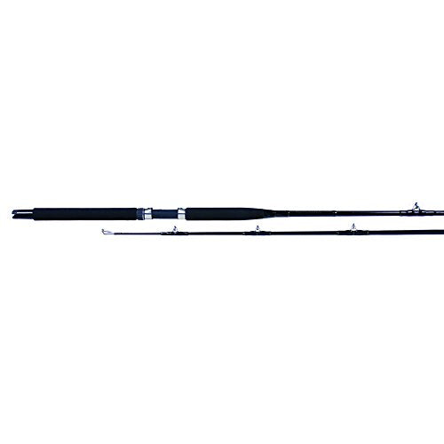Billfisher Trolling Rod (5-Feet x 6-Inch), Black