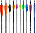 AA & E Plastifletch Vanes Fire Orange 2.875 in. 100 pk.