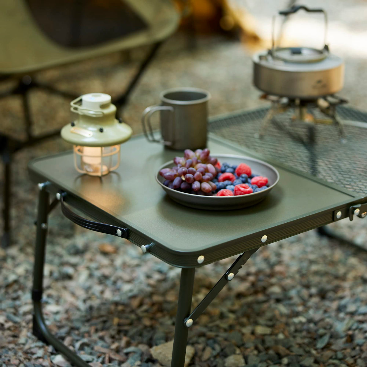 Naturehike Folding Camping Table with Mesh Desktop, Adjustable Aluminum Portable