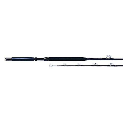 Billfisher SSU1530C6 6-Foot Stand-Up Rod, 30-80-Pound