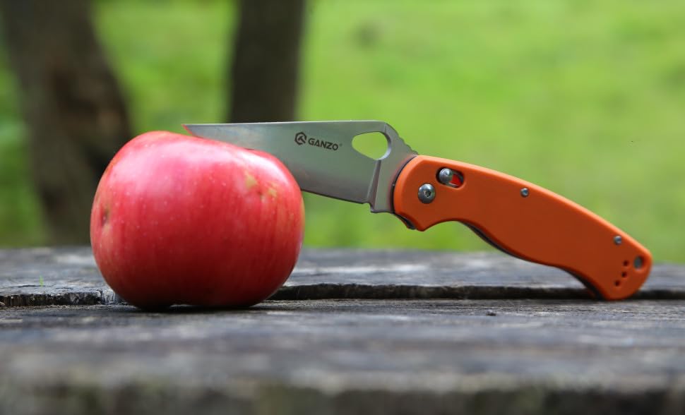 Ganzo G729-ORFolding Pocket Knife 440C Stainless, view 5