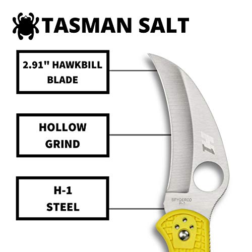 Spyderco Tasman Salt 2 Lightweight Knife with 2.91" H-1, view 3