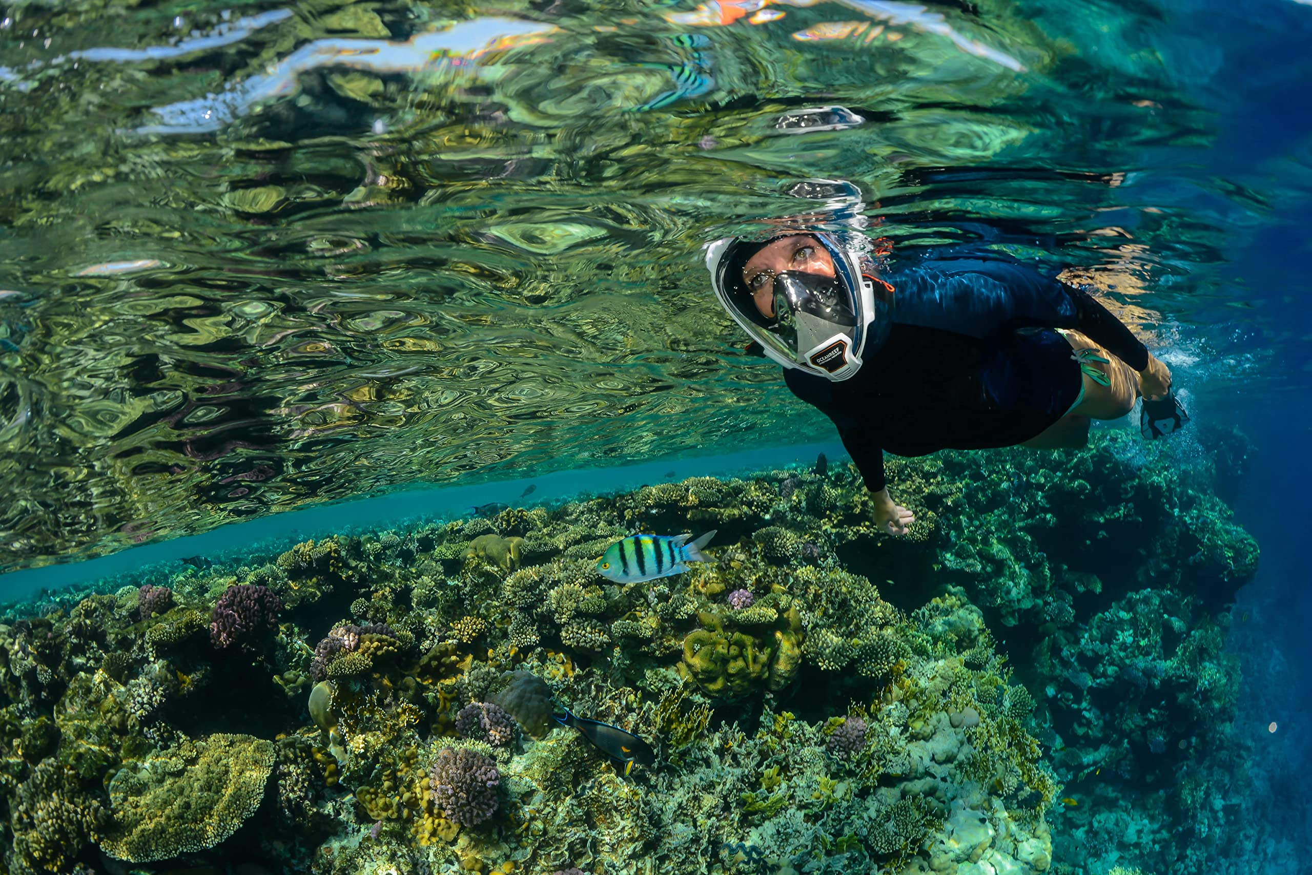 OCEAN REEF - Aria QR+ Quick Release Full Face Snorkel Mask with Snorkel