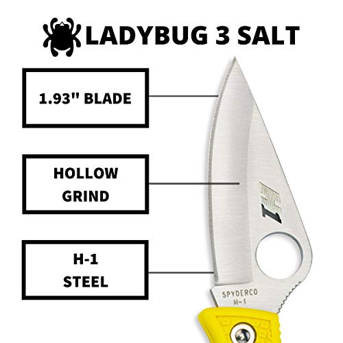 Spyderco Ladybug 3 Salt Lightweight Knife with 1.93", view 3