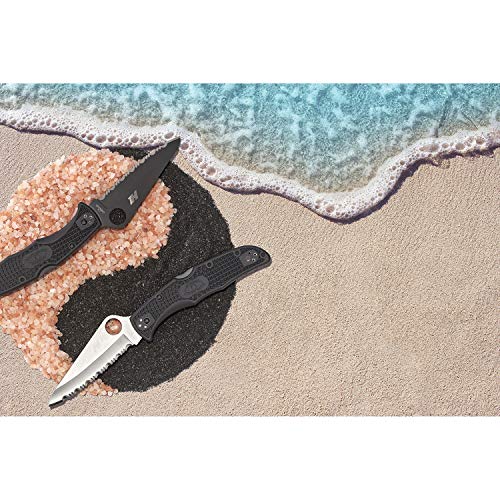 Spyderco Pacific Salt 2 Lightweight Knife with 3.78"