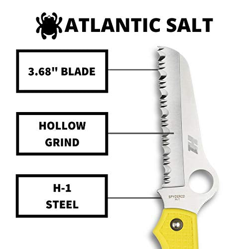 Spyderco Atlantic Salt Lightweight Folding Utility Pocket Knife, view 3