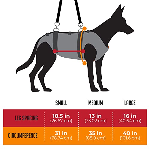 Rock-N-Rescue SAR Dog Harness