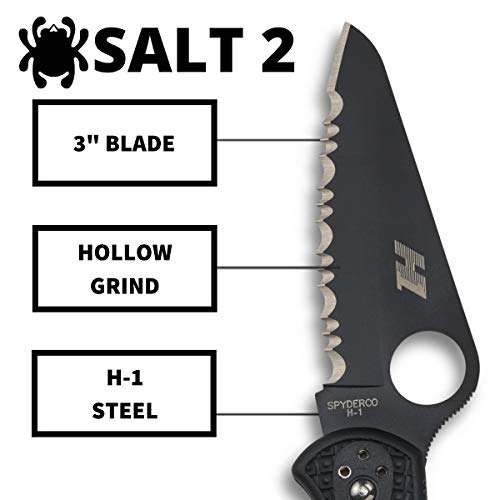 Spyderco Salt 2 Lightweight Knife with 3" H-1, view 3