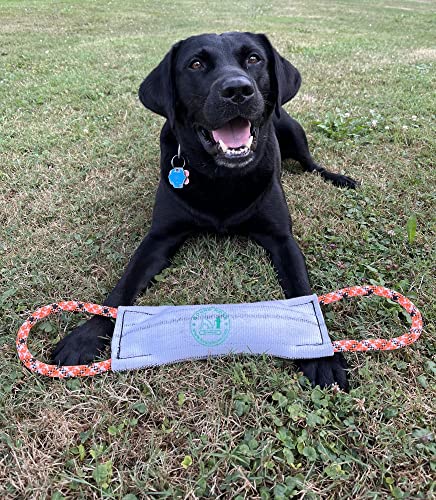 Rock-N-Rescue Hound Hose Firehose Dog Toy, view 6