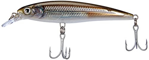 Rapala X-Rap Saltwater 10 Mangrove Minnow